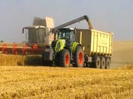 Während das getreide bei der sensenmahd bodennah geschnitten wurde, wurde es mit der sichel verschieden hoch geerntet, je nach vorhandener lagerkapazität und der zweckbestimmung als futter bzw. Getreide Ernte 2010 Youtube
