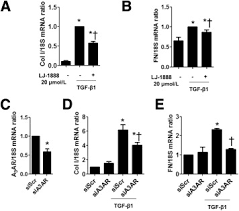 Atur ulang or log in The Selective A3ar Antagonist Lj 1888 Ameliorates Uuo Induced Tubulointerstitial Fibrosis The American Journal Of Pathology