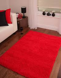 Bright Red Rug On The Floor Would Look Nice Kitchen Rugs And Mats Red Rugs Rugs Uk