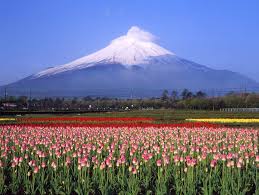 We did not find results for: Monte Fuji Japao Lugares Fantasticos