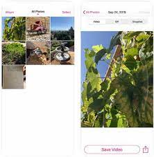 Convert Video To Live Photo Online