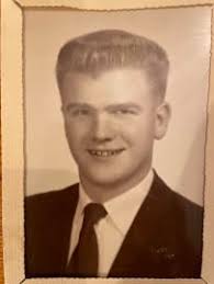 John David Lown Obituary (1939