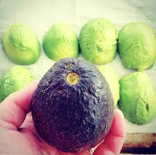 How To Preserve Avocados Foodtastic Mom