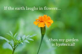 287 quotes have been tagged as gardening: Does Your Garden Have A Sense Of Humour Haha Garden Quotes Garden Quotes Signs Gardening Humor