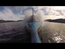 The submarine launches, recovers and stores just like your tender. The Coolest Mini Subs You Can Actually Buy Pedal Powered Submarines Personal Submarines Real Yellow Submarine Thrillist