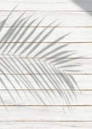 Here's what you need to know about the right paint to use for wood. White Wooden Plank With A Leaf Shadow Background Free Image By Rawpixel Com Palm Background Shadow Minimal Photography