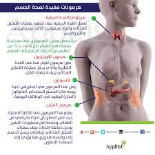 ابليست بالعربية on twitter total ab workout health fitness nutrition medical anatomy