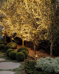Pin By Vicki On 86 Cammeray Rd In 2020 Australian Garden Hampton Garden Australian Garden Design