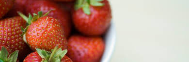 I was pretty surprised to see so much activity on ordinary strawberries. 7 Normal Things That Become Horror Movies Under A Microscope Cracked Com