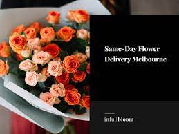 We did not find results for: Same Day Delivery In Melbourne In Full Bloom