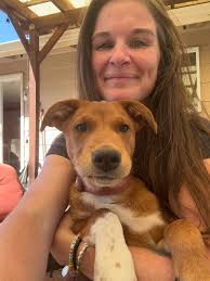 The Puppy (formerly known as Scruff)