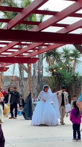 boda de san juan piñas 🤎🍍🍍 #oaxaca #mixteca #ColorCustomizer