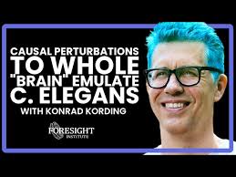 Serotonergic Circuits that Control Persistent Behavioral States in C.  elegans