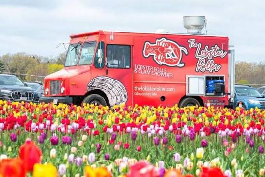 The Lobster Roller Food Trucks & Rockport Kitchen — Mobile caterer food truck in Rockport, Massachusetts