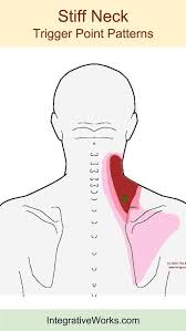 Pin On Massage Therapy And Yoga
