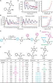 Cell Based Screen Identifies A New Potent And Highly