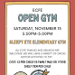 ECFE Open Gym event image