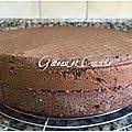 Genoise Au Chocolat Moelleuse Et Super Facile Gateau Et Cuisine Recette Genoise Chocolat Genoise Chocolat Recette Genoise