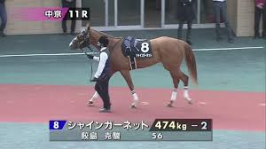 ﾝ） 水精鱗(ﾏｰﾒｲﾙ) 氷結界（ひょうけっかい） 海晶乙女(マリンセス) 海皇(かいおう) 炎星(ｴﾝｾｲ) 炎王(えんおう). Fwn6rhzd4aj7wm