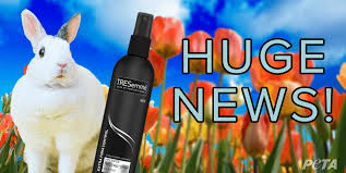 Maybe you would like to learn more about one of these? Is Tresemme Cruelty Free We Have Some Good News Peta