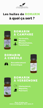 Connaissez Vous Les Proprietes Et Les Differentes Utilisations De Chacune Des Huiles Essentie Huile Essentielle De Romarin Huiles Essentielles Huile De Romarin