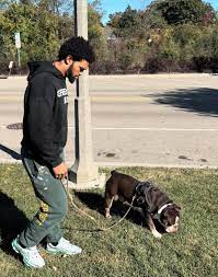 SixPointSports] Caleb Williams is enjoying the off day with his dog Supa :  r/CHIBears