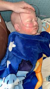 Not so friendly reminder : 2024-2025 FLU shots are out Please get yours  before you see Ryder No excuses I will ask for proof (This message is meant  for EVERY individual…..friend and