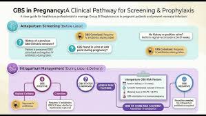 Image result for Group B Streptococcus Prophylaxis