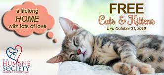 Free office templates for word, excel and powerpoint. Free Cats Kittens The Humane Society Of Harford County