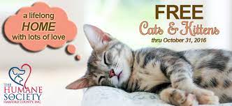 73,021 likes · 216 talking about this. Free Cats Kittens The Humane Society Of Harford County