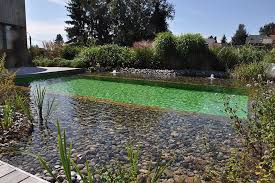 Comment Fonctionne Une Piscine Naturelle Ou Biologique Idees Piscine
