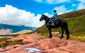 Weitere ideen zu schottische highlands, schottland, highlands. Die Schottischen Highlands Zu Pferd I Ampascachi