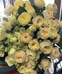 Maybe you would like to learn more about one of these? Flowers N Things Posts Facebook