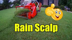 Scalping bermuda cleans up dormant turf and gets that extra material off of your lawn so it can't form a thatch layer or impede growth of new grass. Scalping Bermuda Grass Before Rain Youtube