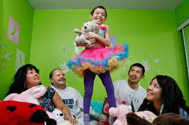 Image result for Emilia hockii