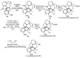 Image result for Schizozygia coffaeoides