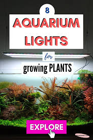 Well, we want to clarify one thing that if the aquarium plants do not only depend on led lights. 8 Best Led Grow Lights For Explosive Aquarium Plant Growth