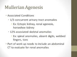 Normally, one of these ducts develops into the uterus and vagina, and the other grows into fallopian tubes. Evaluation And Management Of Primary Amenorrhea Ppt Download
