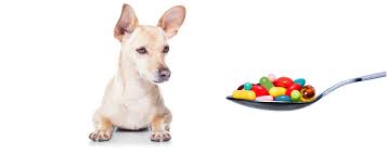 Care25 for a flat 25% off! Pet Vitamins And Supplements Do Dogs Really Need Them