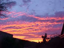 We did not find results for: Tucson Az Sunset In Tucson Photo Picture Image Arizona At City Data Com