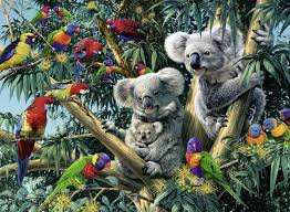 Jigsaw puzzles for seniors australia. Ravensburger Koalas In A Tree Jigsaw Puzzle 500pc Ravensburger Adult Kids Puzzles Australia