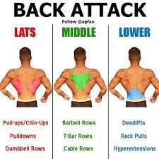 Maybe you would like to learn more about one of these? What Are The Most Beneficial Back Exercises Here S 8 Strengthening Movements Gymguider Com Gym Tips Back Workout Workout
