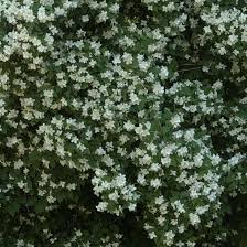 Transformer Un Jardin Existant Coach Creation Jardin Jardins Parterres