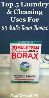 Top Five 20 Mule Team Borax Uses For Laundry And Cleaning Around Your Home On Stain Removal 101 Borax Boraxuses 20 Mule Team Borax Cleaning Hacks Cleaning