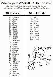 These names are usually applied to cats that have not been for 6 months. Warrior Cat Name Generator Quiz Cat And Dog Lovers