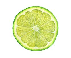 Pin By Ppeyp Jiratinee On Food Fruit Illustration Fruits Drawing Lime