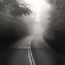 Black And White Road Photography Black And White Photography Landscape Photography Road Photography Roads Foggy Road Moody Photography Appalachia Tree Photography With Images Black And White Landscape Landscape Photography Landscape Pictures