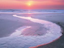 Where to watch sunset in santa monica, in. 39 Pink Beach Sunset Wallpaper On Wallpapersafari