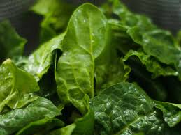 Per aumentare le difese immunitarie e si trovano negli alimenti come il lievito di birra, i cereali, i latticini, la carne e fegato, la frutta e verdura, soia, pesci, uova e legumi, soprattutto. Cosa Mangiare Per Aumentare Le Difese Immunitarie Grazia