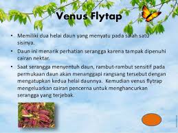 Ciri khusus bunga melati secara umum mudah dikenali. Halaman Download Gagasan Untuk Ciri Khusus Bunga Matahari Dan Fungsinya Bunga